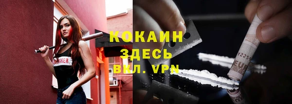винт Абаза