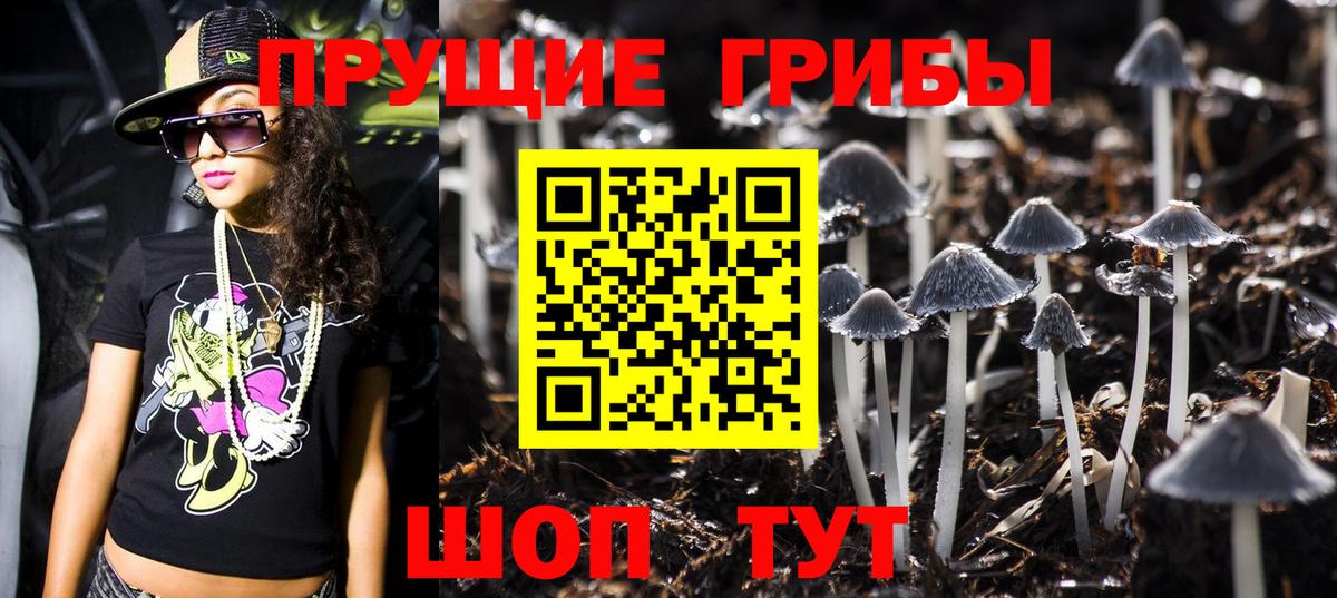 Дальнереченск  где купить наркоту  Вход с VPN  Псилоцибиновые грибы MAGIC MUSHROOMS 