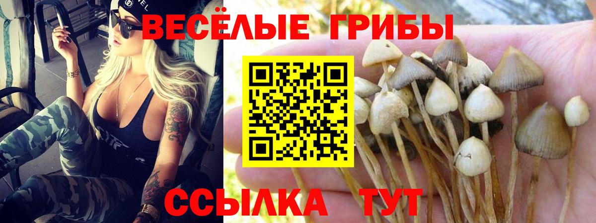 Галлюциногенные грибы MAGIC MUSHROOMS Дальнереченск
